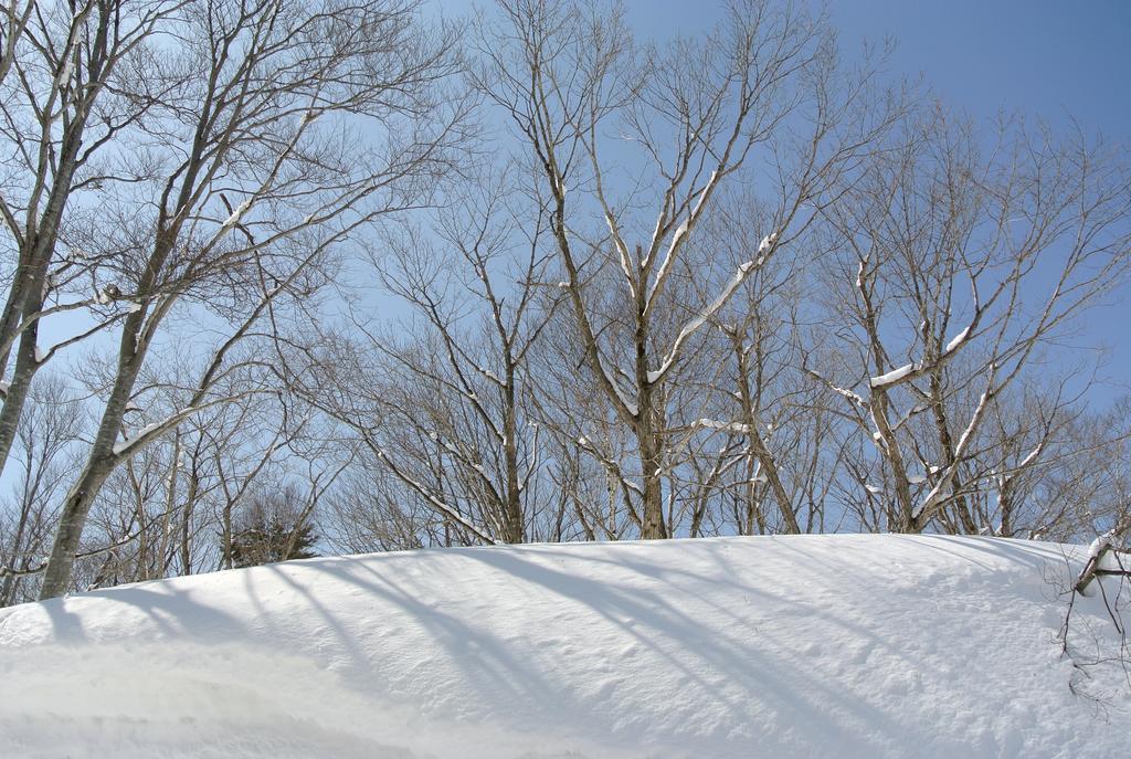 Готель Altitude Madarao Iiyama Екстер'єр фото